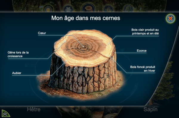 Au cœur des forêts protège ton futur ! – Image 4