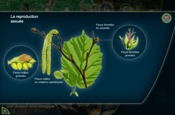 Au cœur des forêts protège ton futur ! – Image 7