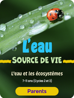L'eau source de vie. L'eau et les écosystèmes