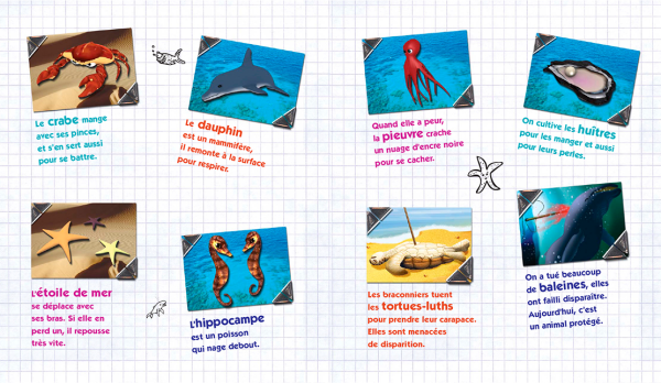 Perl & Gadoo à la mer – Image 2