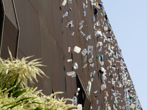 Art et environnement : quand la créativité défend la nature