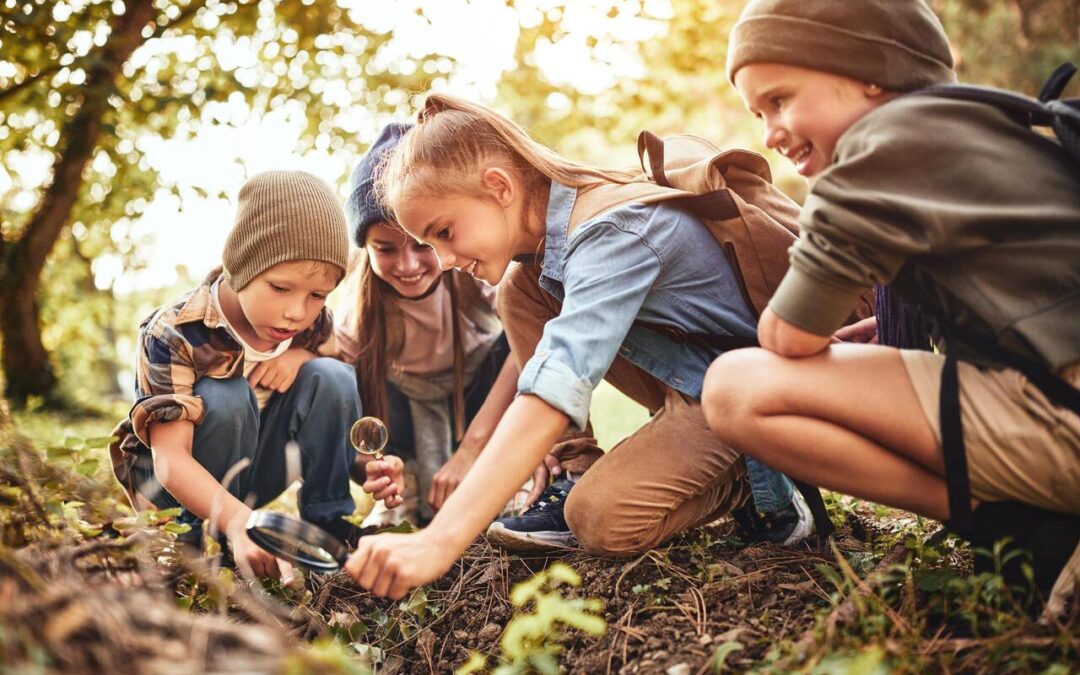 Feux de forêt : 6 activités pédagogiques pour les 7-11 ans