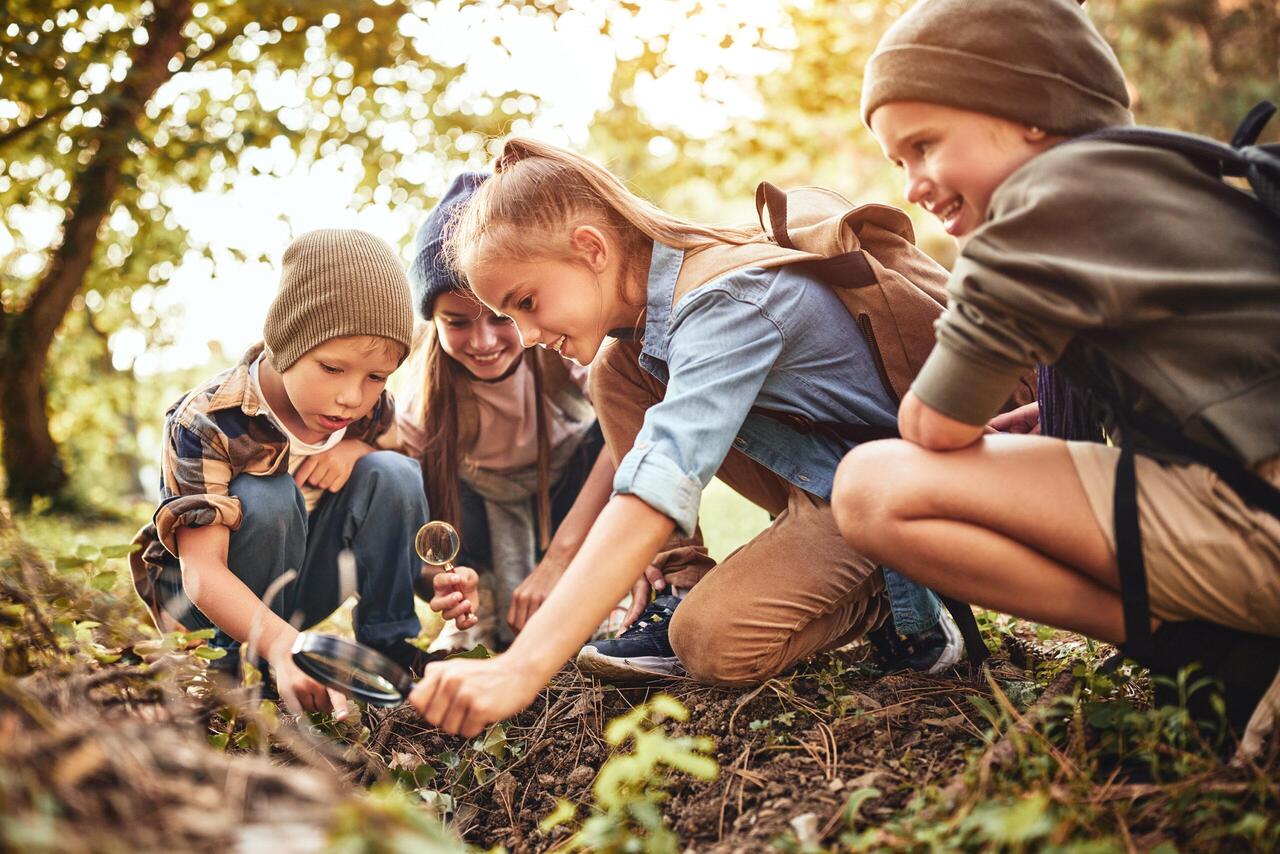 Feux de forêt : 6 activités pédagogiques pour les 7-11 ans